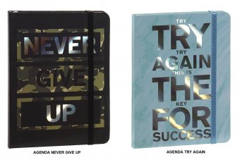 Agenda NEVER GIVE UP / Agenda TRY AGAIN